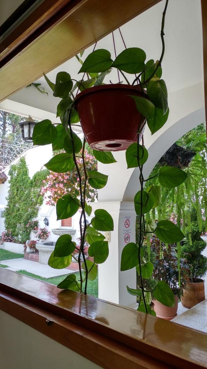 Ixkanul Antigua Hotel 外观 照片